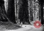 Image of California natural riches California United States USA, 1931, second 3 stock footage video 65675035928