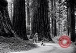 Image of California natural riches California United States USA, 1931, second 4 stock footage video 65675035928