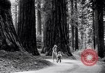 Image of California natural riches California United States USA, 1931, second 5 stock footage video 65675035928