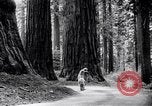 Image of California natural riches California United States USA, 1931, second 7 stock footage video 65675035928