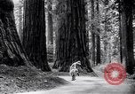Image of California natural riches California United States USA, 1931, second 8 stock footage video 65675035928