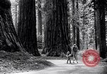 Image of California natural riches California United States USA, 1931, second 11 stock footage video 65675035928
