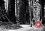 Image of California natural riches California United States USA, 1931, second 12 stock footage video 65675035928