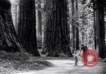 Image of California natural riches California United States USA, 1931, second 14 stock footage video 65675035928