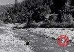 Image of California natural riches California United States USA, 1931, second 37 stock footage video 65675035928