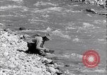 Image of California natural riches California United States USA, 1931, second 42 stock footage video 65675035928