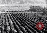 Image of California natural riches California United States USA, 1931, second 60 stock footage video 65675035928