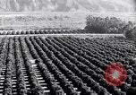 Image of California natural riches California United States USA, 1931, second 61 stock footage video 65675035928
