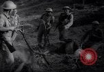Image des soldats de l'Armée nationale gouvernementale de la Grèce Grèce, 1948, de la seconde 20 séquences d'archives historiques vidéo 65675035940