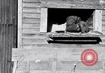 Image negro travailleurs South Carolina United States USA, 1936, de la seconde 6 séquences d'archives historiques vidéo 65675035945
