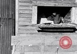 Image negro travailleurs South Carolina United States USA, 1936, de la seconde 8 séquences d'archives historiques vidéo 65675035945