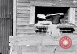 Image negro travailleurs South Carolina United States USA, 1936, de la seconde 9 séquences d'archives historiques vidéo 65675035945