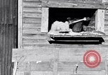 Image negro travailleurs South Carolina United States USA, 1936, de la seconde 11 séquences d'archives historiques vidéo 65675035945