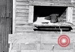 Image negro travailleurs South Carolina United States USA, 1936, de la seconde 12 séquences d'archives historiques vidéo 65675035945