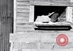 Image negro travailleurs South Carolina United States USA, 1936, de la seconde 14 séquences d'archives historiques vidéo 65675035945
