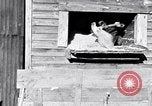 Image negro travailleurs South Carolina United States USA, 1936, de la seconde 17 séquences d'archives historiques vidéo 65675035945