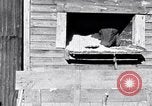 Image negro travailleurs South Carolina United States USA, 1936, de la seconde 18 séquences d'archives historiques vidéo 65675035945