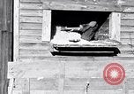 Image negro travailleurs South Carolina United States USA, 1936, de la seconde 21 séquences d'archives historiques vidéo 65675035945