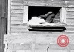 Image negro travailleurs South Carolina United States USA, 1936, de la seconde 23 séquences d'archives historiques vidéo 65675035945