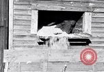 Image negro travailleurs South Carolina United States USA, 1936, de la seconde 24 séquences d'archives historiques vidéo 65675035945