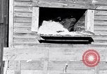 Image negro travailleurs South Carolina United States USA, 1936, de la seconde 30 séquences d'archives historiques vidéo 65675035945