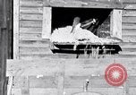 Image negro travailleurs South Carolina United States USA, 1936, de la seconde 32 séquences d'archives historiques vidéo 65675035945