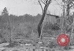 Immagine di Bethel classificato scuola South Carolina United States USA, 1936, secondo 20 filmato di repertorio 65675035952