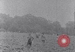Image of African American labors South Carolina United States USA, 1936, second 23 stock footage video 65675035961