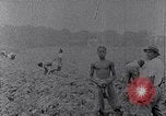Image of African American labors South Carolina United States USA, 1936, second 27 stock footage video 65675035961