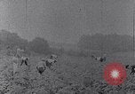 Image of African American labors South Carolina United States USA, 1936, second 31 stock footage video 65675035961