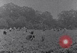 Image of African American labors South Carolina United States USA, 1936, second 33 stock footage video 65675035961