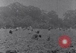 Image of African American labors South Carolina United States USA, 1936, second 34 stock footage video 65675035961