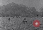 Image of African American labors South Carolina United States USA, 1936, second 35 stock footage video 65675035961