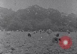 Image of African American labors South Carolina United States USA, 1936, second 36 stock footage video 65675035961