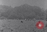 Image of African American labors South Carolina United States USA, 1936, second 37 stock footage video 65675035961