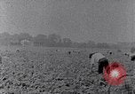 Image of African American labors South Carolina United States USA, 1936, second 48 stock footage video 65675035961