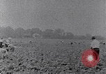 Image of African American labors South Carolina United States USA, 1936, second 49 stock footage video 65675035961