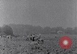 Image of African American labors South Carolina United States USA, 1936, second 53 stock footage video 65675035961
