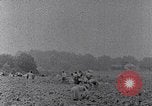 Image of African American labors South Carolina United States USA, 1936, second 54 stock footage video 65675035961