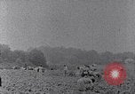 Image of African American labors South Carolina United States USA, 1936, second 55 stock footage video 65675035961