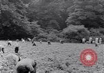 Image of African American labors South Carolina United States USA, 1936, second 61 stock footage video 65675035961