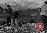 Standbild Wiederaufbau Sizilien während der alliierten Besatzung in Zweiten Weltkrieg Palermo Italien, 1943, aus Sekunde 26 historischem Filmmaterial Videoclip 65675035963