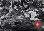 Standbild Wiederaufbau Sizilien während der alliierten Besatzung in Zweiten Weltkrieg Palermo Italien, 1943, aus Sekunde 38 historischem Filmmaterial Videoclip 65675035963