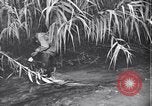 Image of relief works by Allied Military Government in Italy Naples Italy, 1944, second 9 stock footage video 65675035964