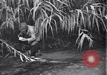 Image of relief works by Allied Military Government in Italy Naples Italy, 1944, second 12 stock footage video 65675035964