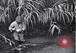 Image of relief works by Allied Military Government in Italy Naples Italy, 1944, second 13 stock footage video 65675035964