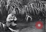 Image of relief works by Allied Military Government in Italy Naples Italy, 1944, second 14 stock footage video 65675035964