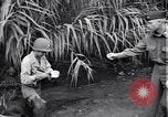 Image of relief works by Allied Military Government in Italy Naples Italy, 1944, second 15 stock footage video 65675035964