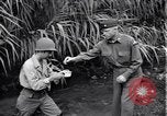 Image of relief works by Allied Military Government in Italy Naples Italy, 1944, second 16 stock footage video 65675035964