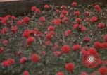 Image of Signal Group Headquarters Long Binh Vietnam, 1969, second 56 stock footage video 65675035974